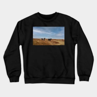 Wild Welsh Ponies Crewneck Sweatshirt